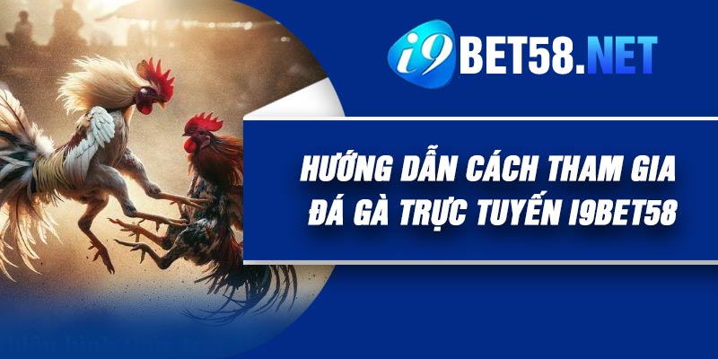 Hướng dẫn cách tham gia Đá gà trực tuyến I9Bet58