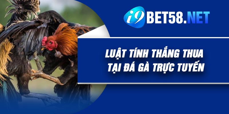 Luật tính thắng thua tại Đá gà trực tuyến
